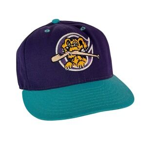 Vintage Charlston RiverDogs Pro Line Pro Model Texas Baseball Cap Fitted 7